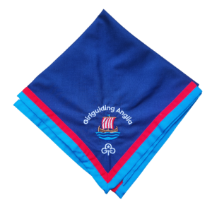 GIRLGUIDING ANGLIA NECKER