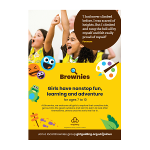 BROWNIE POSTERS (10 PACK)
