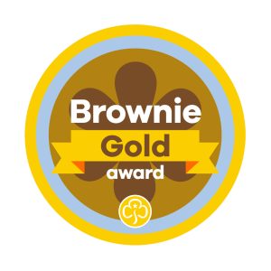 BROWNIE GOLD AWARD - WOVEN BADGE